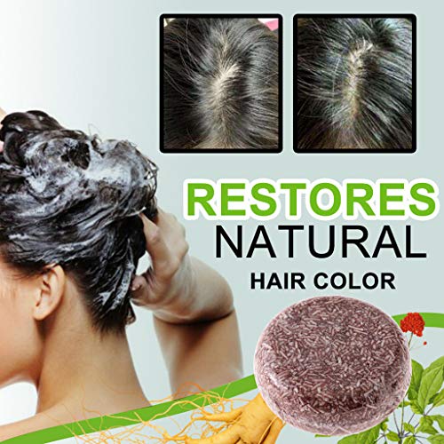 Hair Darkening Shampoo Bar - Natural Organic Conditioner and Repair Essence (MINT) by WK Organics. B