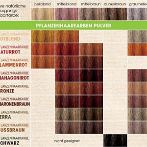 Sante Naturkosmetik Herbal Hair Colour Powder (100 g) by WK Organics UK B