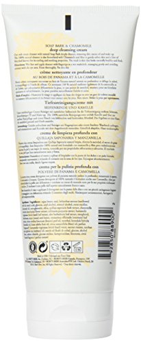 Burt's Bees Natural Cleanser Soap Bark and Chamomile Deep Cleansing Cream – 1 x Tube 170 grams by WK Organics. C