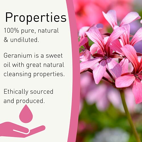 SENSOLI Geranium Essential Oil 10ml - Pure and Natural Essential Oil for Aromatherapy and Diffusers : Amazon.co.uk: Health & Personal Care B