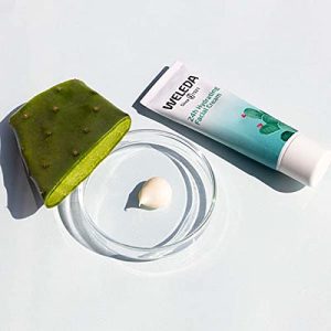 Weleda Prickly Pear Cactus 24hr Hydrating Cream 30ml at WK Organics UK online shop in: Beauty