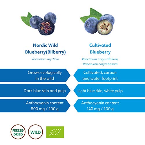 LOOV Wild Blueberry Powder Organic (Pomace Powder)