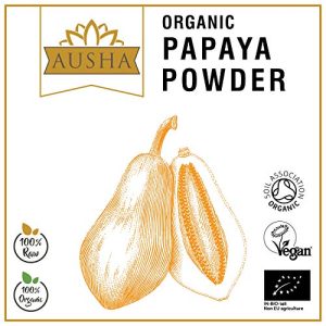 Ausha Organic Papaya Fruit Powder 100gm | Digestion Aid