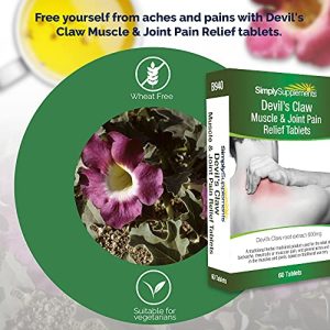 Devil's Claw Tablets Muscle & Joint Pain Relief (THR) | 60 Tablets | 100% Money Back Guarantee | Manufactured in The UK at WK Organics UK online shop in: Health & Personal Care