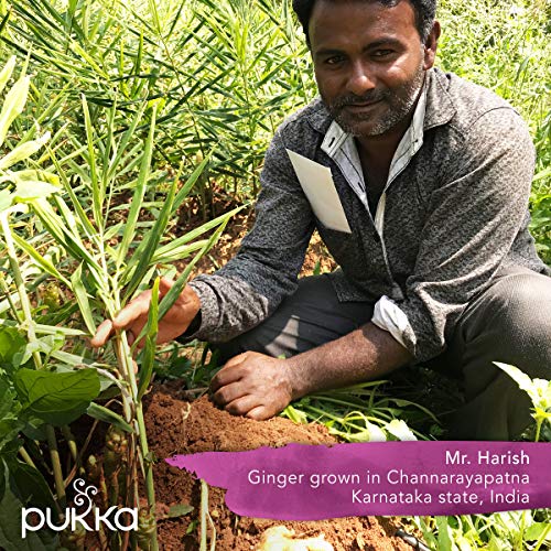Pukka Herbs Elderberry Syrup Organic Herbal Supplement