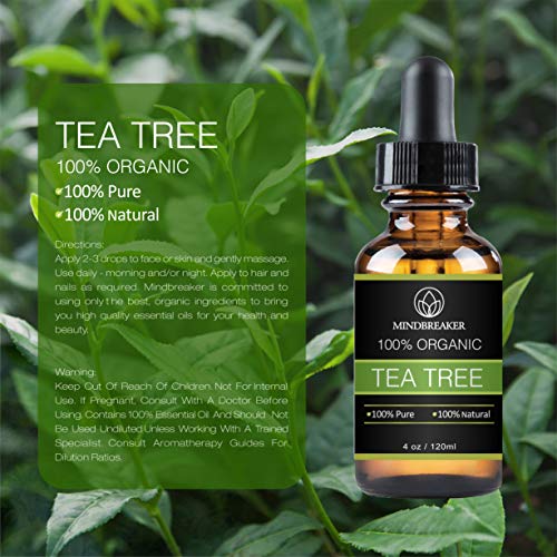 Tea Tree Essential Oil - 100% Pure & Natural Therapeutic Grade– Best Gift Bundle for Men and Women 120 ml (4 oz) at WK Organics UK online shop in: Beauty C