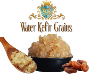 Water Kefir grains by WK Organics